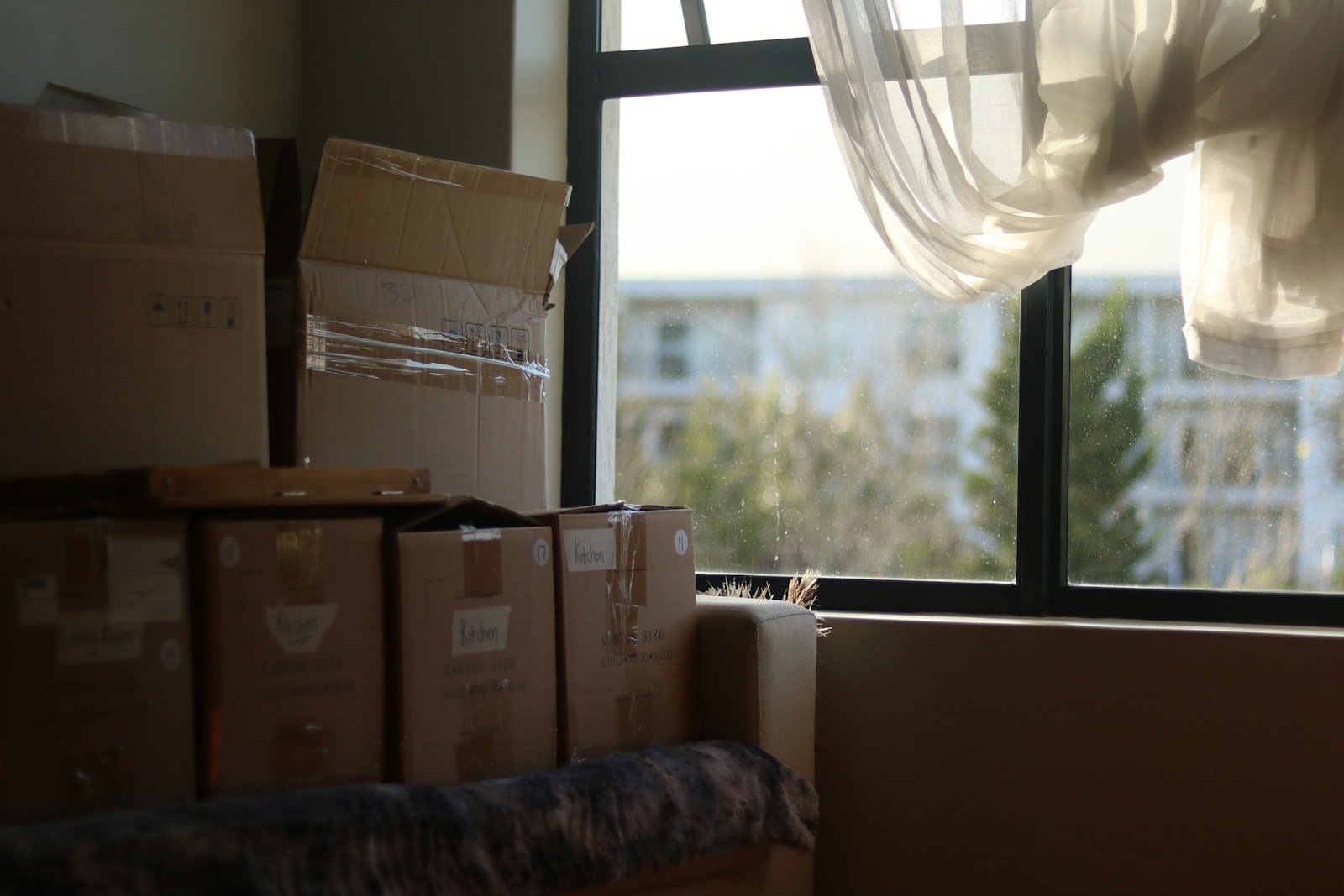 Reliable Relocation Services in Jumeirah Park: a room with boxes and a window