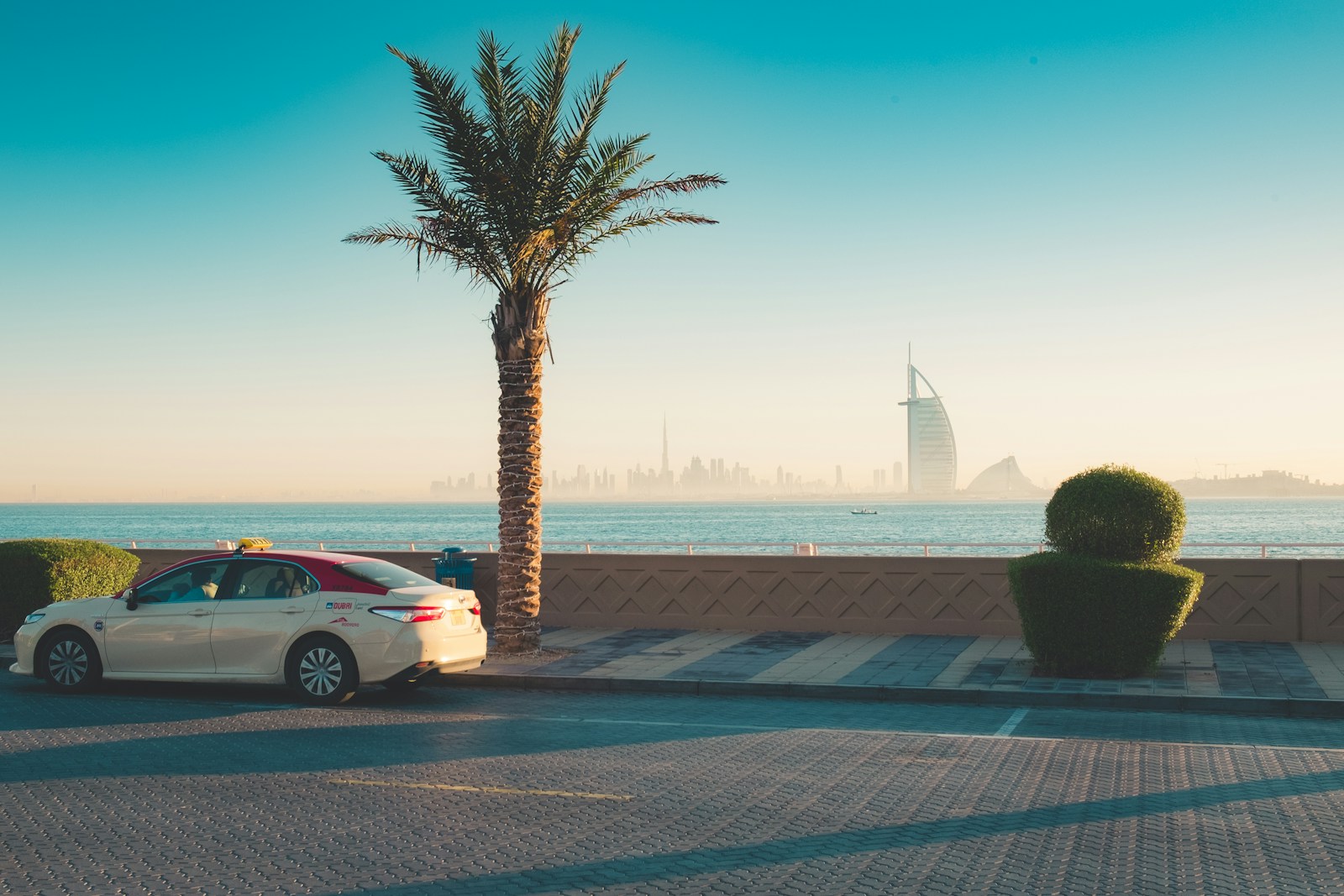 Moving in JLT: white sedan parked near palm tree during daytime
